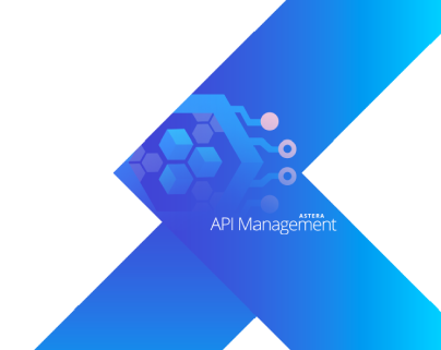Astera API Management