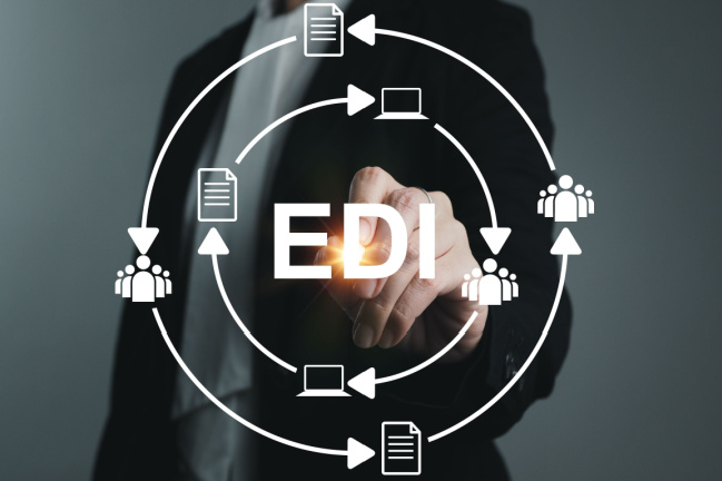 EDI Developer